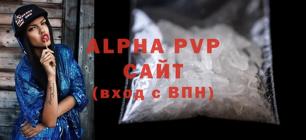 индика Дмитров